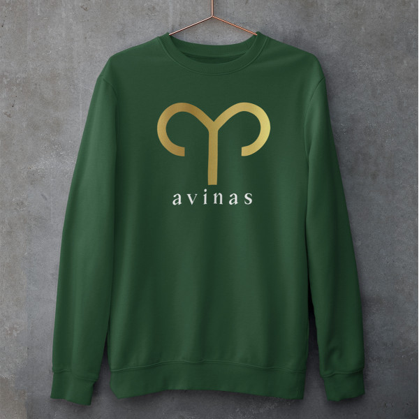 Džemperis "Avinas" (be kapišono)