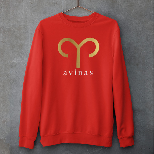 Džemperis "Avinas" (be kapišono)