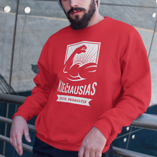 Džemperis "Kiečiausias tėtis pasaulyje" (be kapišono)