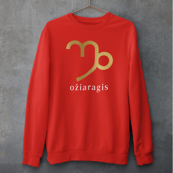 Džemperis "Ožiaragis" (be kapišono)