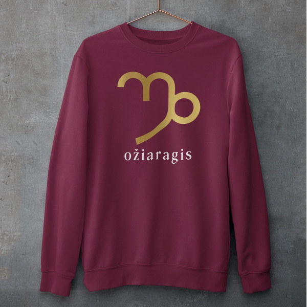 Džemperis "Ožiaragis" (be kapišono)