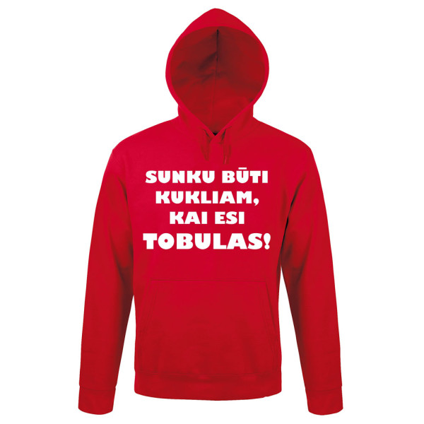 Džemperis "Ponas tobulybė" Džemperis "Ponas tobulybė"