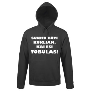 Džemperis "Ponas tobulybė"