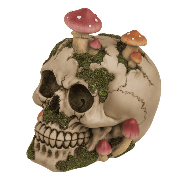 Kaukolės formos taupyklė "Mushroom"