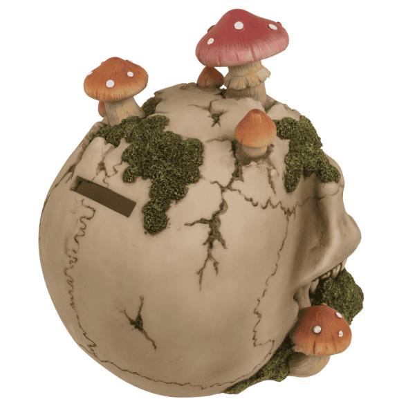 Kaukolės formos taupyklė "Mushroom"