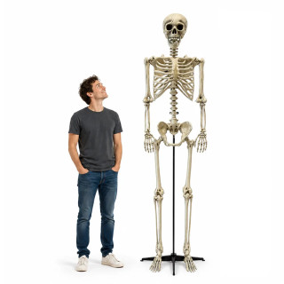 Milžiniška XXL dekoracija „Skeletas“ (240 cm) Milžiniška XXL dekoracija „Skeletas“ (240 cm)