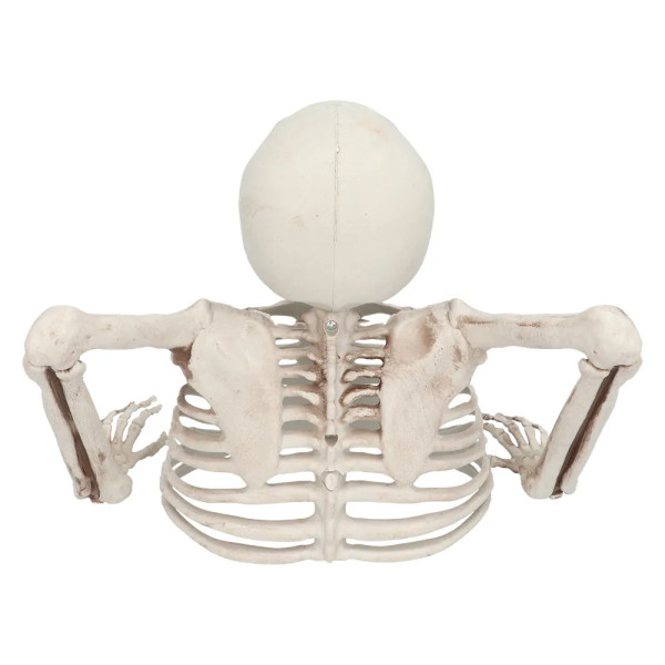 Dekoracija "Skeletas iš kapo", 20cm