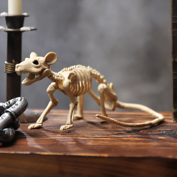Helovino statulėlė "Žiurkės skeletas" Helovino statulėlė "Žiurkės skeletas"