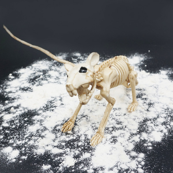 Helovino statulėlė "Žiurkės skeletas" Helovino statulėlė "Žiurkės skeletas"