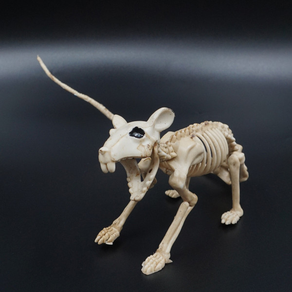Helovino statulėlė "Žiurkės skeletas" Helovino statulėlė "Žiurkės skeletas"