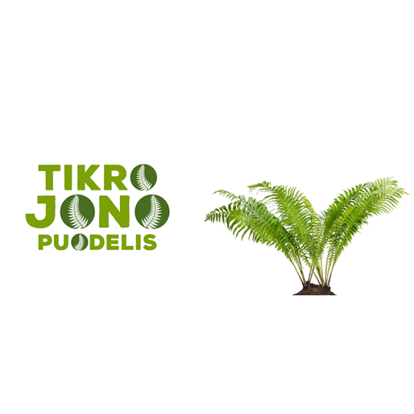 Tikro Jono puodelis Tikro Jono puodelis