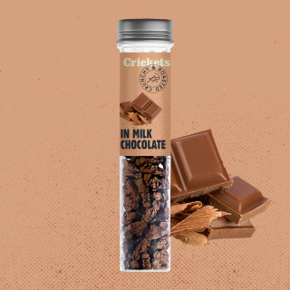Traškūs skrudinti svirpliai "In milk chocolate"