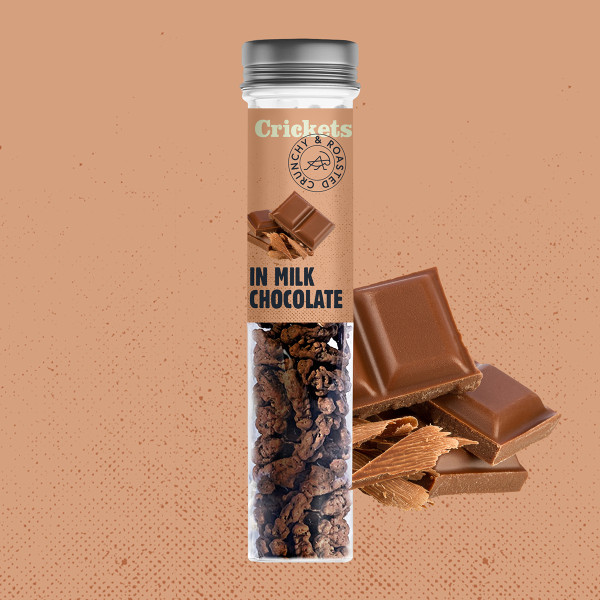 Traškūs skrudinti svirpliai "In milk chocolate" Traškūs skrudinti svirpliai "In milk chocolate"