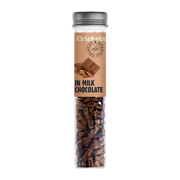Traškūs skrudinti svirpliai "In milk chocolate" Traškūs skrudinti svirpliai "In milk chocolate"