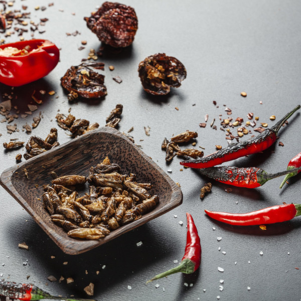 Traškūs, itin aštrūs skrudinti svirpliai "Carolina reaper" Traškūs, itin aštrūs skrudinti svirpliai "Carolina reaper"